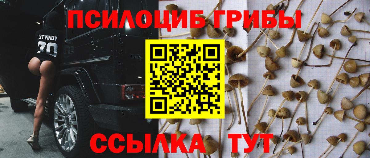 Старая Купавна  Галлюциногенные грибы мухоморы  Вход с VPN 